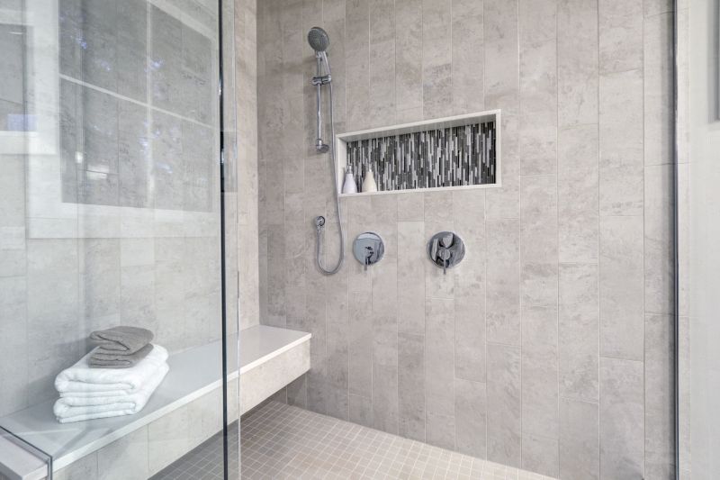 Contemporary Shower Features
